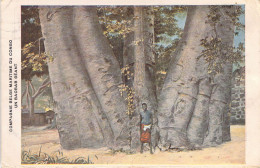 CONGO BELGE - Un Baobab Géant - Carte Postale Ancienne - Belgian Congo