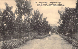 CONGO BELGE - Poste De La Lowa - Plantations De Funtumia - Carte Postale Ancienne - Congo Belge