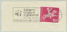 Schweiz / Helvetia 1962, Flaggenstempel WWF Panda Bellinzona - Autres & Non Classés