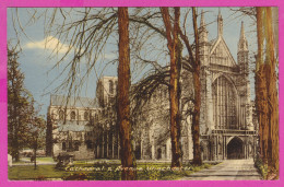 289880 / United Kingdom - Winchester - Cathedral & Avenue Winchester 1966 PC 37240 Great Britain Grande-Bretagne - Winchester