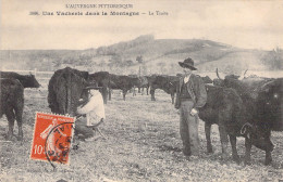 FRANCE - 63 - AUVERGNE - Une Vacherie Dans La Montagne - La Traite - Carte Postale Ancienne - Auvergne Types D'Auvergne