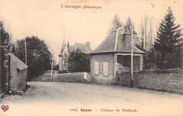 FRANCE - 63 - BESSE - Château De Berthoul - Carte Postale Ancienne - Autres & Non Classés