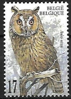 Belgium - MNH ** 1999 :   Long-eared Owl  -  Asio Otus - Hiboux & Chouettes