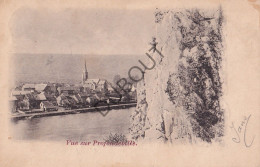 Postkaart/Carte Postale -Profondeville - Vue   (C3819) - Profondeville