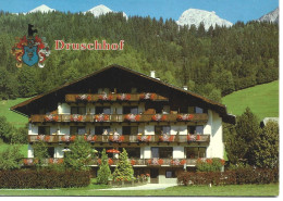 Ref ( 2987 )  Schladming - Druschhof - Schladming