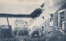 Postkaart/Carte Postale - Bassenge/Bitsingen - Cour De Ferme (C4032) - Bassenge