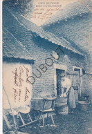 Postkaart/Carte Postale - Bassenge/Bitsingen - Cour De Ferme (C3912) - Bassenge