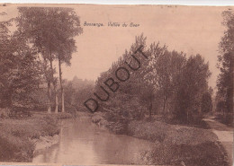 Postkaart/Carte Postale - Bassenge/Bitsingen - La Vallée Du Geer (C4018) - Bassenge