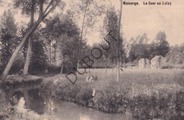 Postkaart/Carte Postale - Bassenge/Bitsingen - Le Geer Au Lulay (C4045) - Bassenge