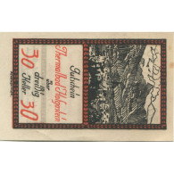 Billet, Autriche, Hofgastein, 30 Heller, Fontaine 1920-12-31, SPL Mehl:FS 384Ic - Autriche