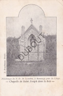 Postkaart/Carte Postale - Bassenge/Bitsingen - Pélérinage De Notre Dame De Lourdes (C4010) - Bassenge