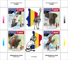 Tchad 2022, Animals, Parks, Giraf, Hippo, Lion, Bird Of Prey, 4val In BF - Girafes