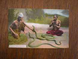 Birma - Burma - Rangoon - Snake - Myanmar (Burma)