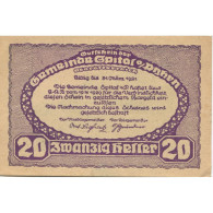 Billet, Autriche, Spital, 20 Heller, Montagne 1920-03-31, SUP, Mehl:FS 1007Ib - Autriche