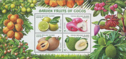 690498 MNH COCOS Islas 2017 FRUTOS DE LAS ISLAS COCOS - Cocos (Keeling) Islands