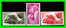 ESPAÑA  COLONIAS ESPAÑOLAS ( RIO MUNI - AFRICA ) SERIE DE SELLOS AÑO 1962 DIA DEL SELLO  - NUEVOS - - Rio Muni