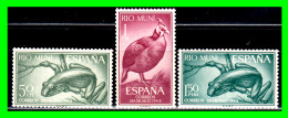 ESPAÑA  COLONIAS ESPAÑOLAS ( RIO MUNI - AFRICA ) 2 DE SELLOS AÑO 1964 DIA DEL SELLO - NUEVOS - - Rio Muni