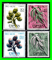 ESPAÑA  COLONIAS ESPAÑOLAS ( RIO MUNI - AFRICA ) 2 DE SELLOS AÑO 1967 PRO INFANCIA- NUEVOS - - Rio Muni