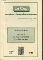 Le Cep, Revue Du Centre D'Etudes Et De Prospective Sur La Science N°53- Octobre 2010-Sommaire: L'oisiveté Technique Par  - Autre Magazines