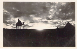 EGYPTE - Sunset At Giza - Couché De Soleil - Carte Postale Ancienne - Guiza