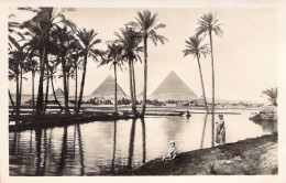 EGYPTE - General View To The Pyramids During The Inundation - Carte Postale Ancienne - Gizeh