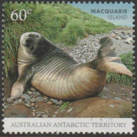 AUSTRALIALIAN ANTARCTIC TERRITORY - USED 2010 60c Macquarie Island - Southern Elephant Seal - Oblitérés