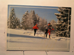 Sports > Sports D'hiver - Ski De Fond - Promenade En Forêt - Sports D'hiver