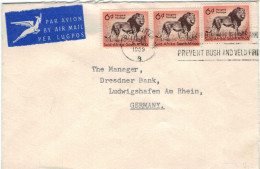 Südafrika Pretoria 1959 - Löwe Mähne - Vermeidet Busch-Feuer & Feld-Brände - MEF 3fach - Airmail