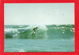 ORISTANO  S'Arena Scoada Se Trouve Sur La Commune De San Vero Milis.CPM  Photo GIANNA 1980 SPORT SURF - Oristano