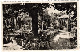 Suisse - Neuchâtel - Marin - Hôtel Du Poisson - Un Coin Du Jardin - Carte Postale Vierge - Marin