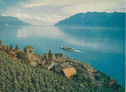 Switzerland Saint-Saphorin Et Vignoble De Lavaux - Saint-Saphorin