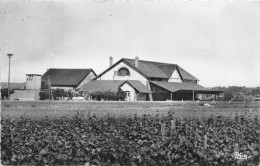 41-VILLERS-SUR-LOIR- LA VINERIE DES COTEAUX DU LOIR - Sonstige & Ohne Zuordnung