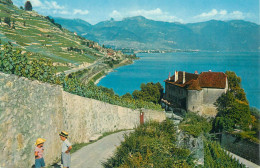 Switzerland Le Lavaux (lac Leman) Le Chateau De Glerolles Pres Rivaz - Vaz/Obervaz