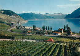 Switzerland Lac Leman Cully & Vignoble De Lavaux - Cully