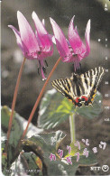 TARJETA DE JAPON DE UNA MARIPOSA (BUTTERFLY) - Schmetterlinge