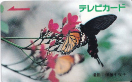 TARJETA DE JAPON DE UNA MARIPOSA (BUTTERFLY) (no Es Tarjeta Telefonica) - Butterflies