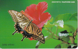 TARJETA DE COREA DE UNA MARIPOSA (BUTTERFLY) - Papillons