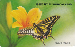 TARJETA DE COREA DE UNA MARIPOSA (BUTTERFLY) - Butterflies