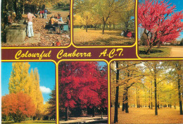 Australia Canberra (A.C.T) Autumn Colours Multi View - Canberra (ACT)