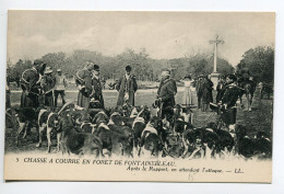 CHASSE à COURRE 329 Foret De Fontainebleau  Apres Le Rapport En Attendant L'Attaque Chiens Rassemblés  1920 LL 5 - Chasse