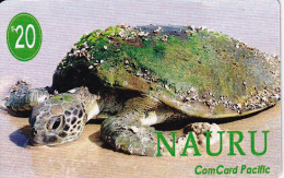 TARJETA DE NAURU DE UNA TORTUGA (TURTLE) - Turtles