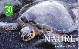 TARJETA DE NAURU DE UNA TORTUGA (TURTLE) - Turtles