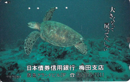 TARJETA DE JAPON DE UNA TORTUGA (TURTLE) - Tartarughe