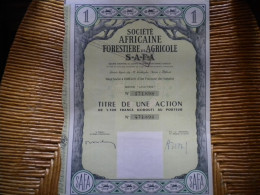 DJIBOUTI - AFRICAINE FORESTIERE Et AGRICOLE  - SAFA - Africa