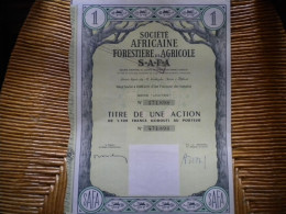 DJIBOUTI - AFRICAINE FORESTIERE Et AGRICOLE  - SAFA - Afrique