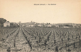 Roujan * Vue Générale Du Village * Les Vignes Vignoble - Other & Unclassified