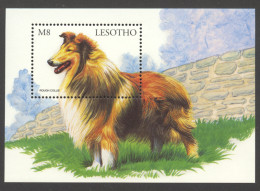 Lesotho, 1999, Dogs, Rough Collie, Animals, MNH, Michel Block 133 - Lesotho (1966-...)