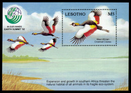 Lesotho, 1993, UNCED Conference, Environment, United Nations, Birds, Cranes, MNH, Michel Block 97 - Lesotho (1966-...)