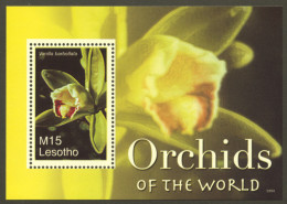 Lesotho, 2007, Orchids, Flowers, Flora, MNH, Michel Block 215 - Lesotho (1966-...)