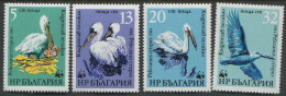 Bulgaria:Unused Stamps Serie Birds, Pelican, WWF, 1984, MNH - Pelicans